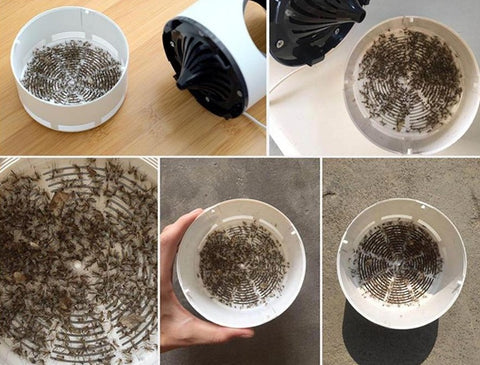 Mosquitokiller™ - Keine Mückenstiche In Diesem Sommer