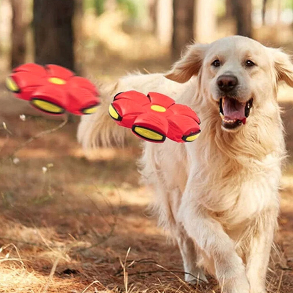 AirBall™ - Interaktiver Ball für Hunde